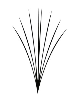 For Volume lashes