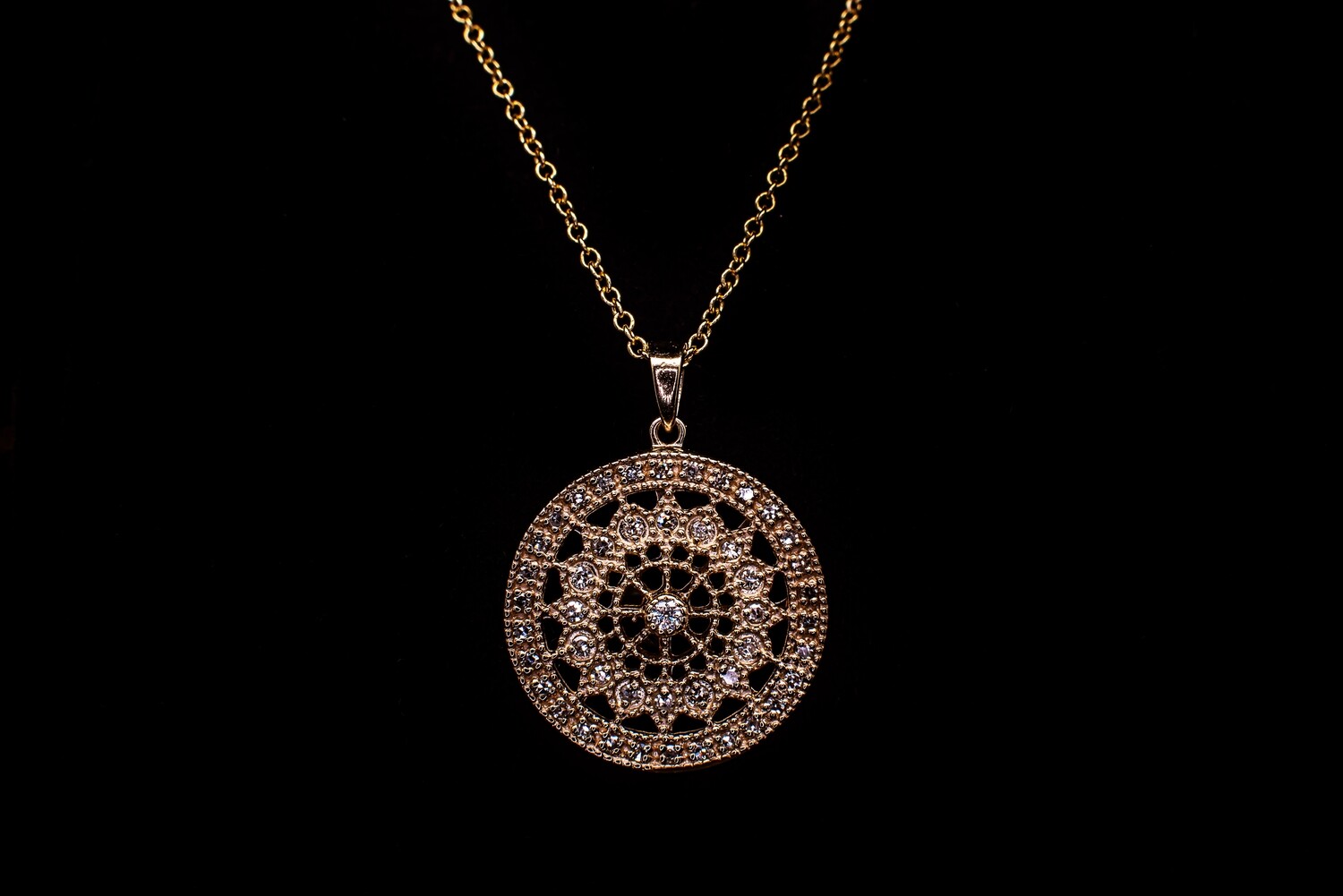 14k Gold Diamond Disk Necklace