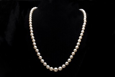 14k Gold Necklace with Pearls