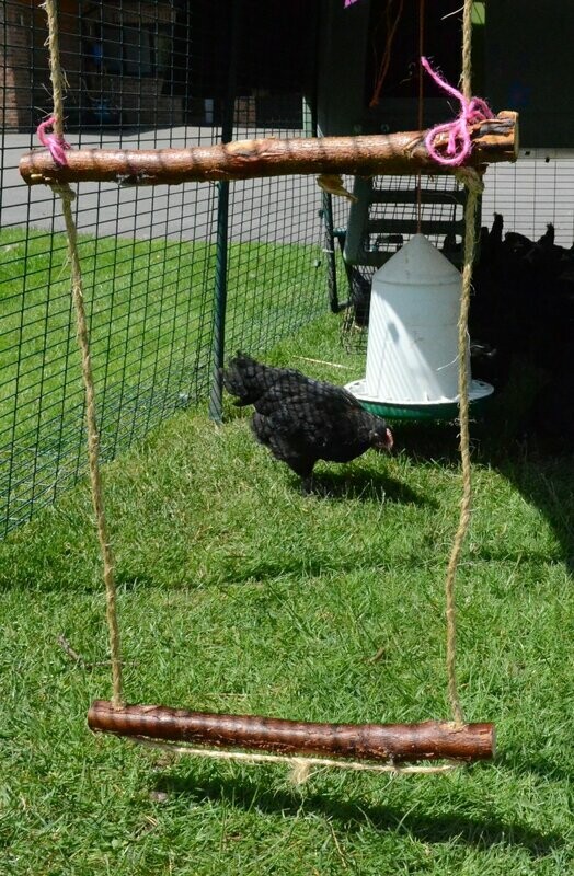 T.L.C.  Natural Chicken Swing