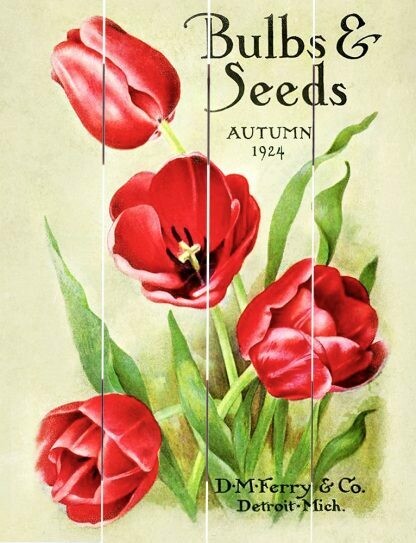 9x12" Pallet Art - Bulbs & Seeds 1924