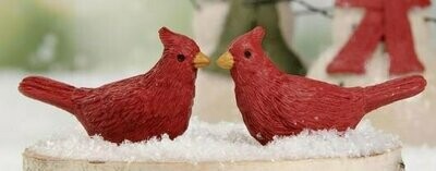 Mini Cardinal