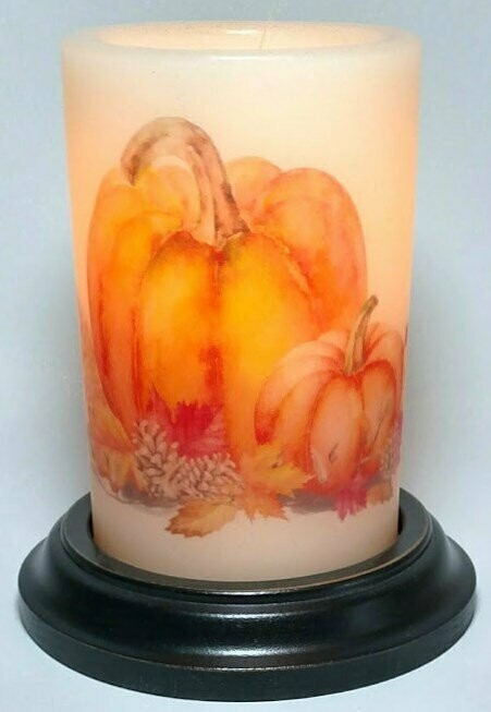 6" Orange Pumpkin Group Sleeve