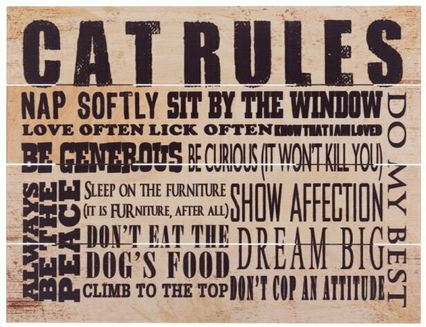 9x12" Pallet Art - Cat Rules