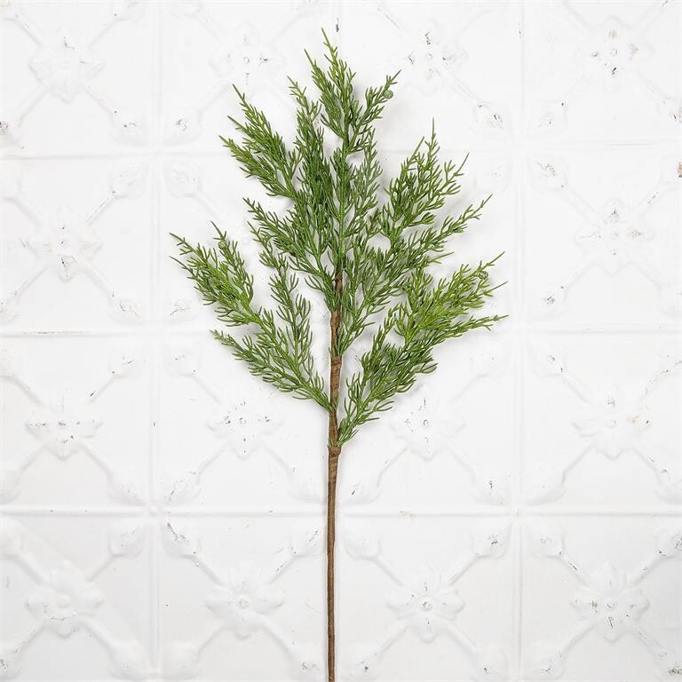 24" Cypress Branch