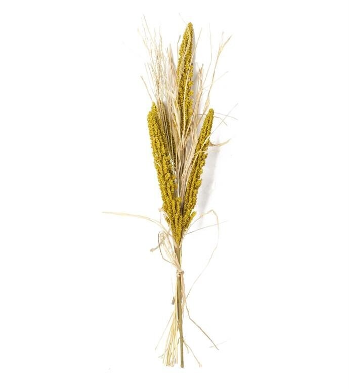 24" Millet & Husk - Yellow