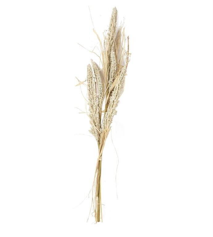 24" Millet & Husk - Ivory