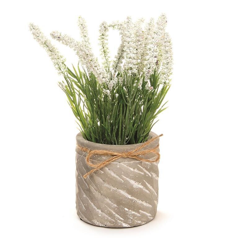 White Flowers in Cement Pot