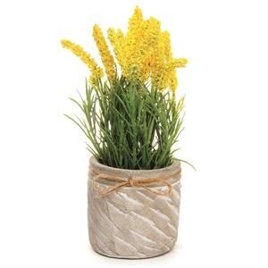 Yellow Flowers in Cement Pot