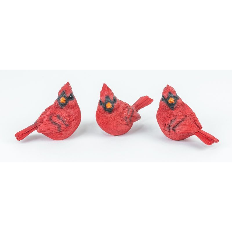 Md. Resin Cardinal