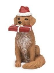 Brown Dog w/ Santa Hat