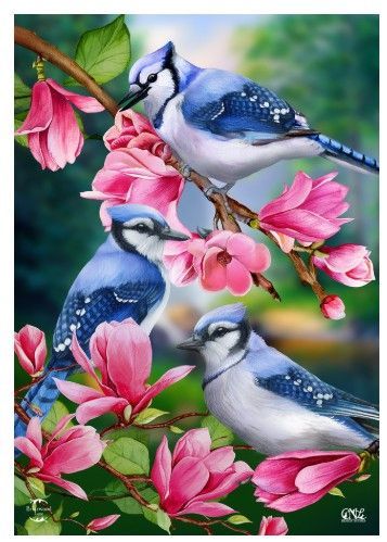 Blue Jay Trio Garden Flag