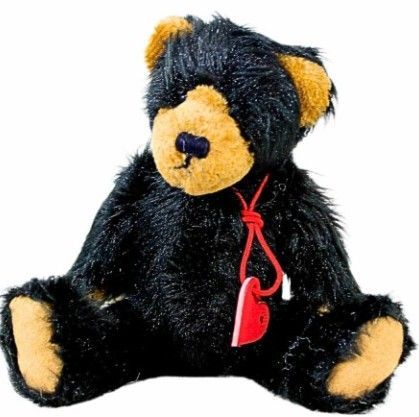 Edgar B. Bear*