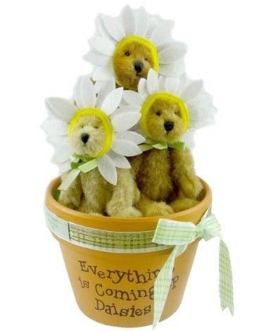 Whoops A. Daisies Whoops A. Daisies