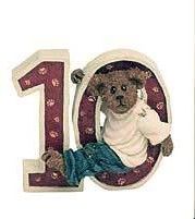 S.B. Beanster - Birthday #10