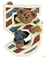 L.T. Beanster - Birthday #5 L.T. Beanster - Birthday #5