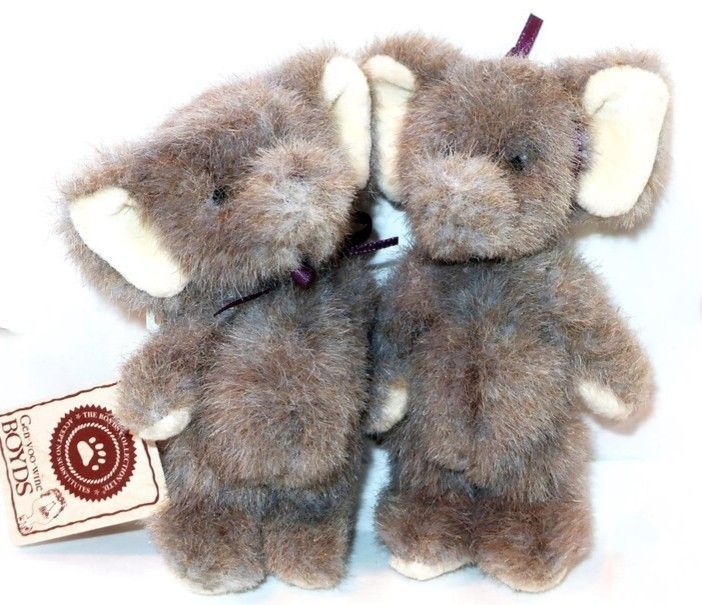 Packy & Dermah Trunkspace