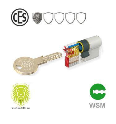 CES Schließzylinder WSM