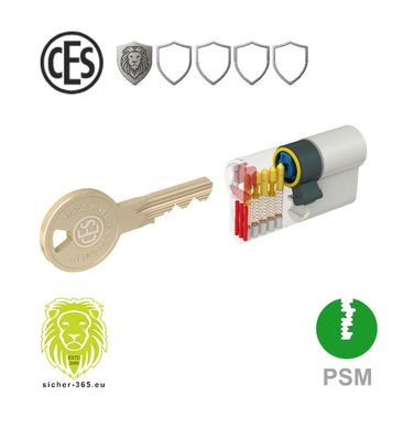 CES Schließzylinder PSM