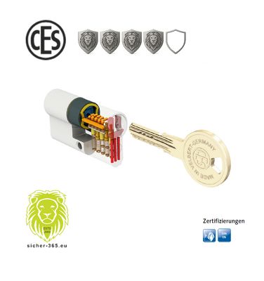 CES Sicherheitszylinder WSZ