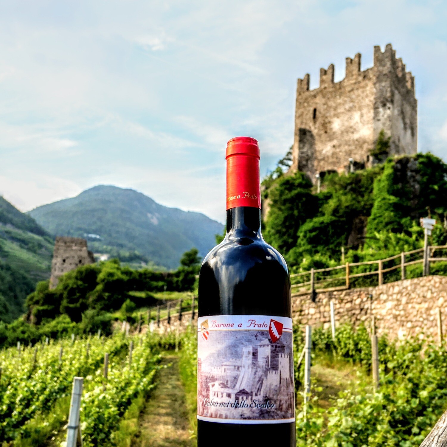 Cabernet dello Scalco - Trentino Alto Adige