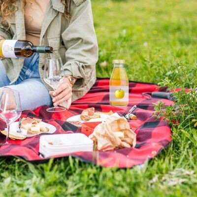 Picnic in vigna del Barone al Castello - Trentino Alto Adige - alcohol-free