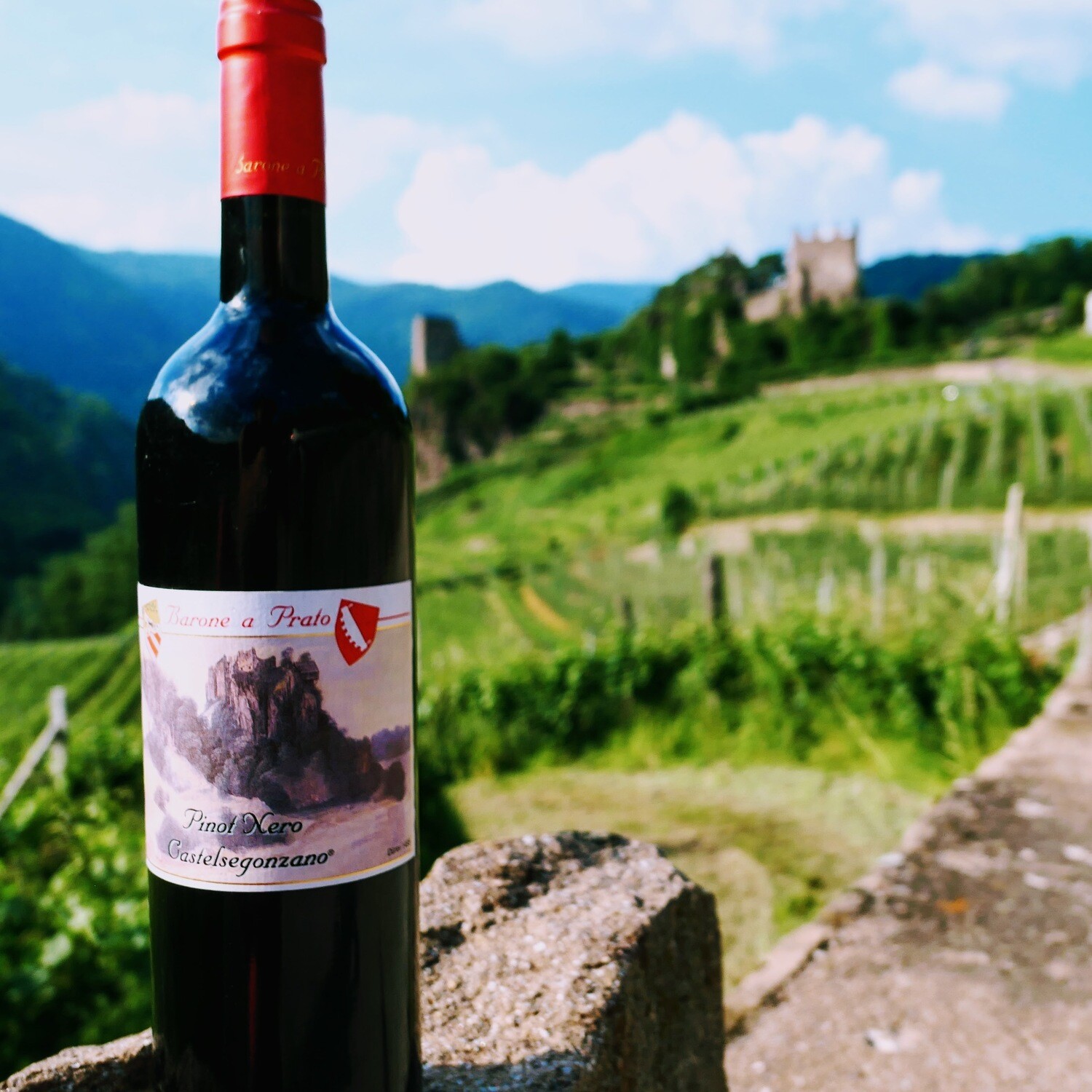 Castelsegonzano, Pinot Nero - Trentino Alto Adige