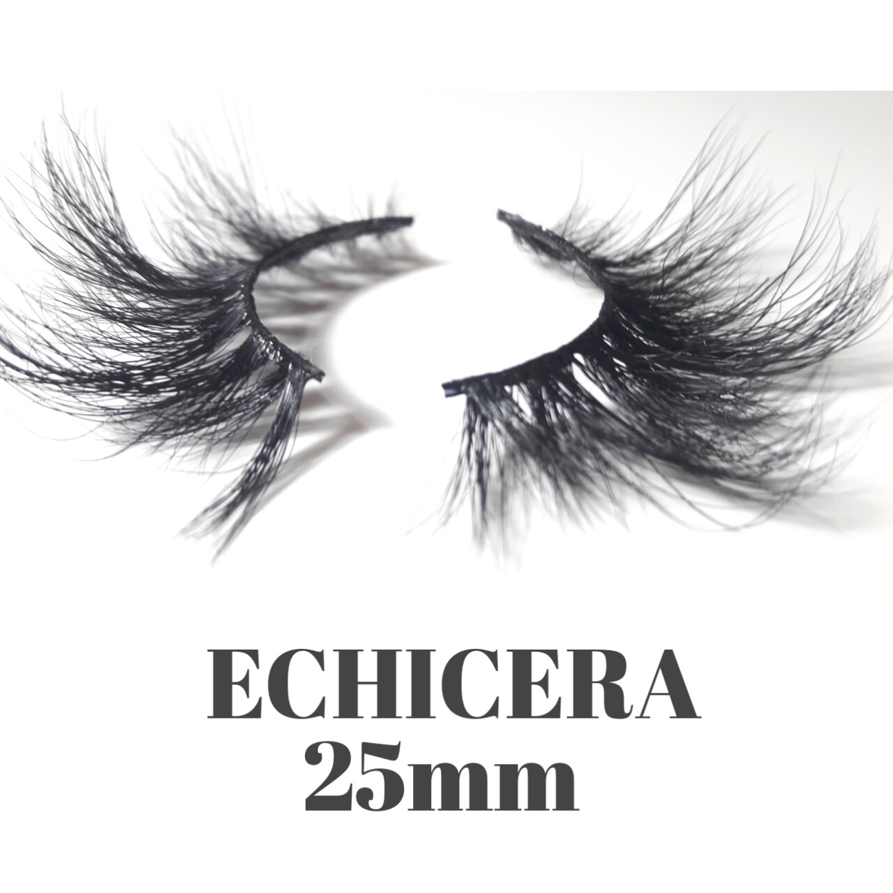 ECHICERA