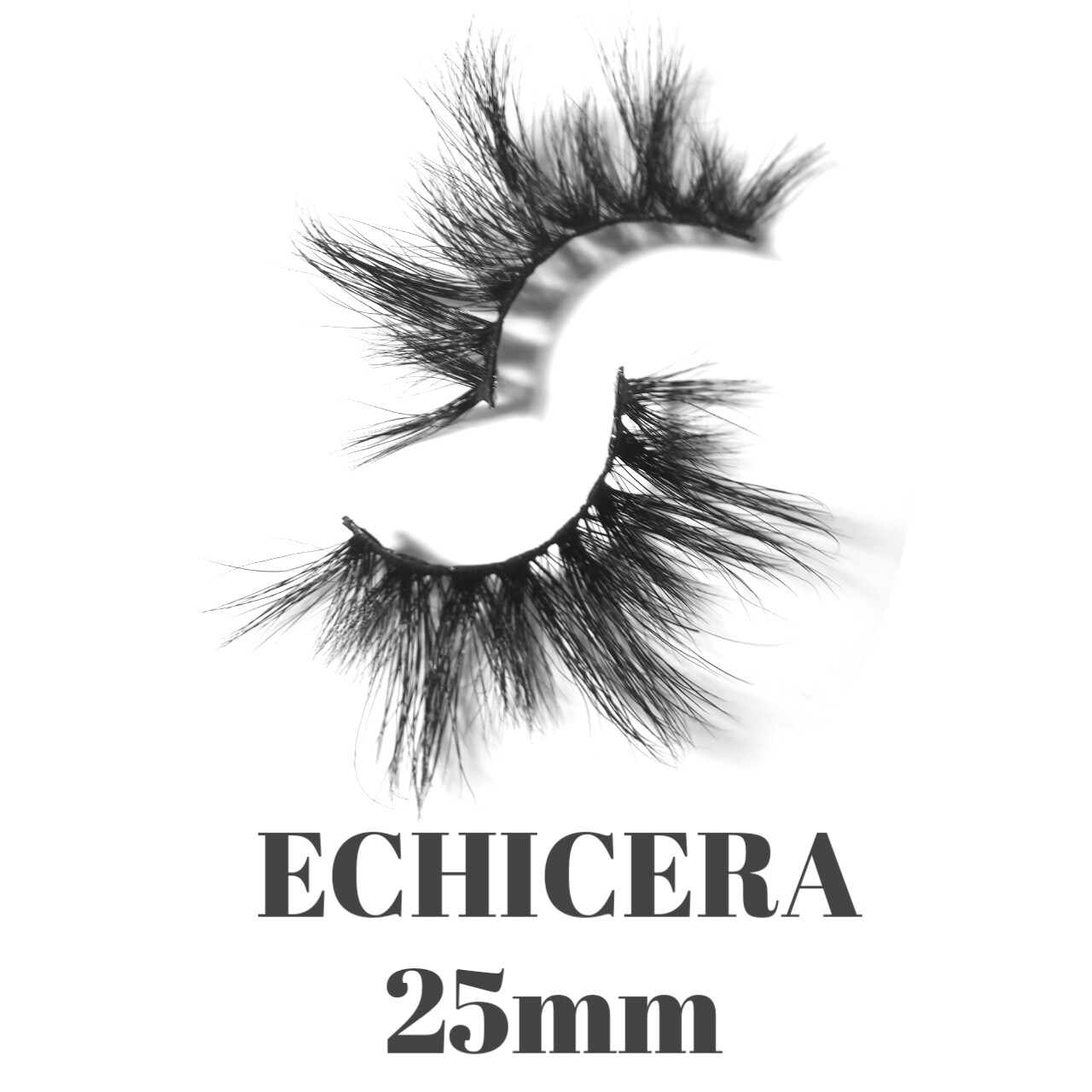 ECHICERA