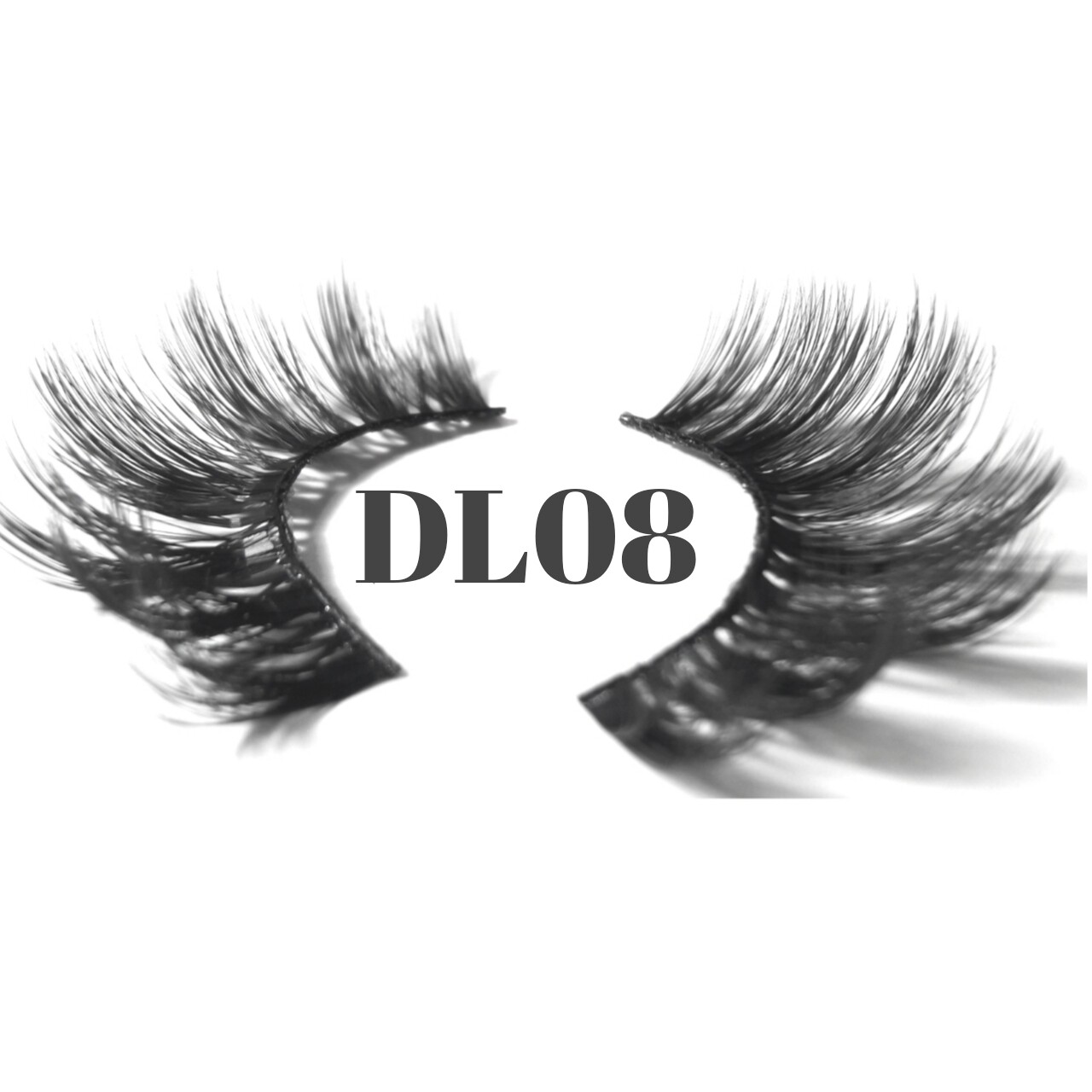DL08