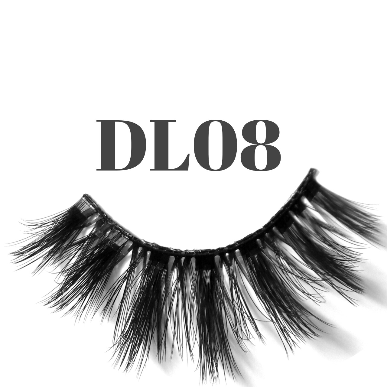 DL08
