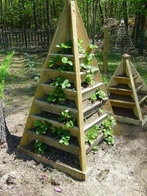 Strawberry Planter Plans - Both 3 and 6 ft.