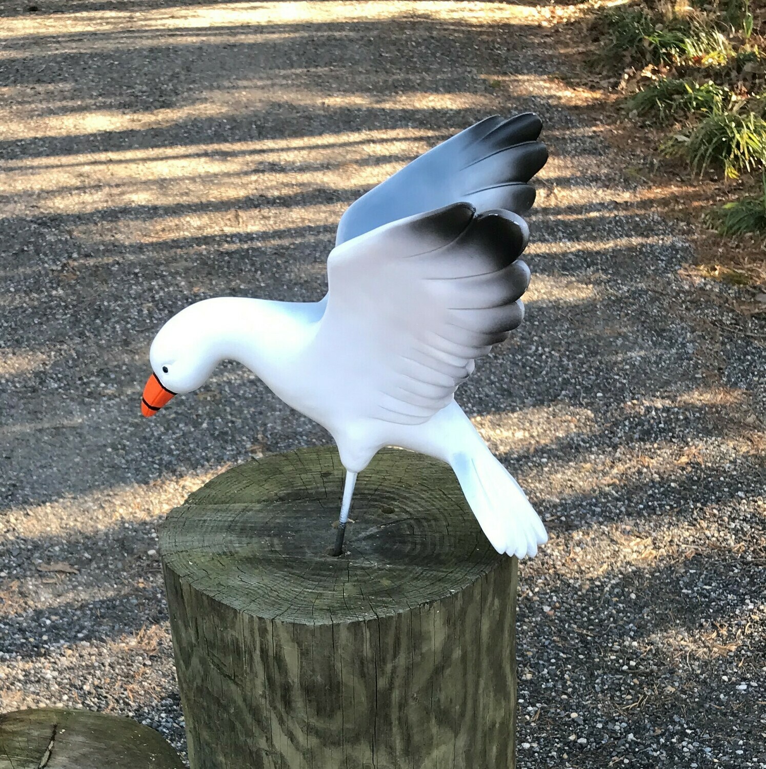 Landing Seagull Only