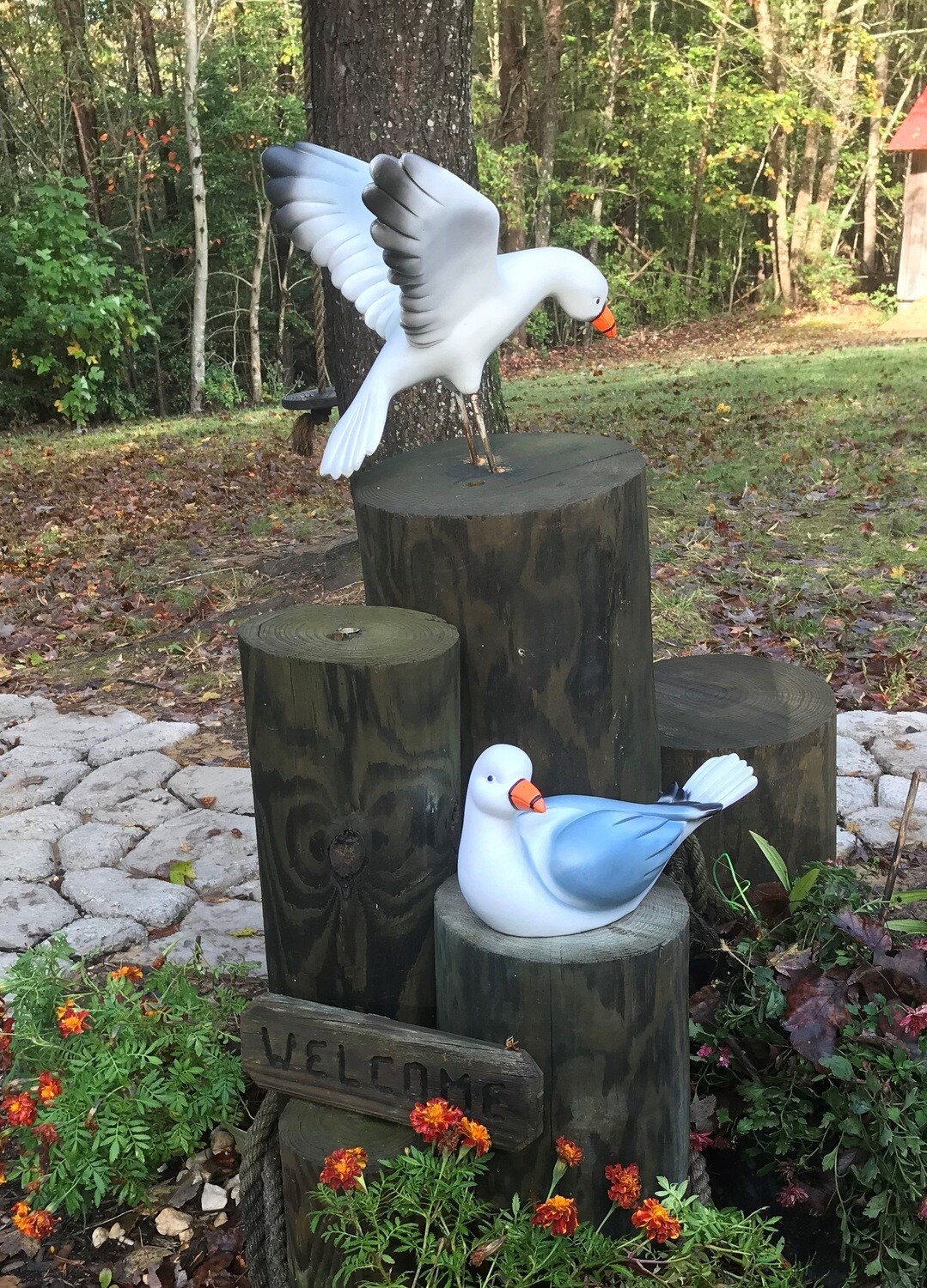 Landing and Sitting Seagull Pair