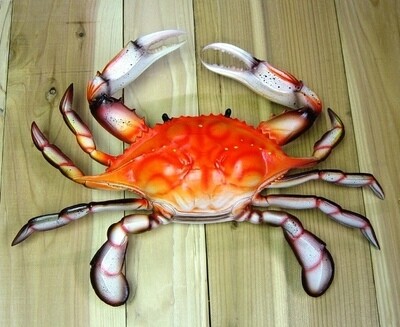 10-inch steamed blue crab replica