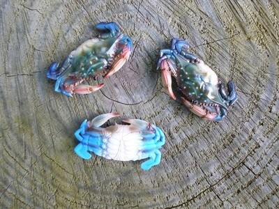 Small, 2-inch blue crab decorations
