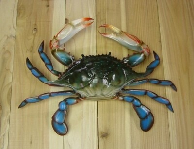 Large 17-inch blue crab replica