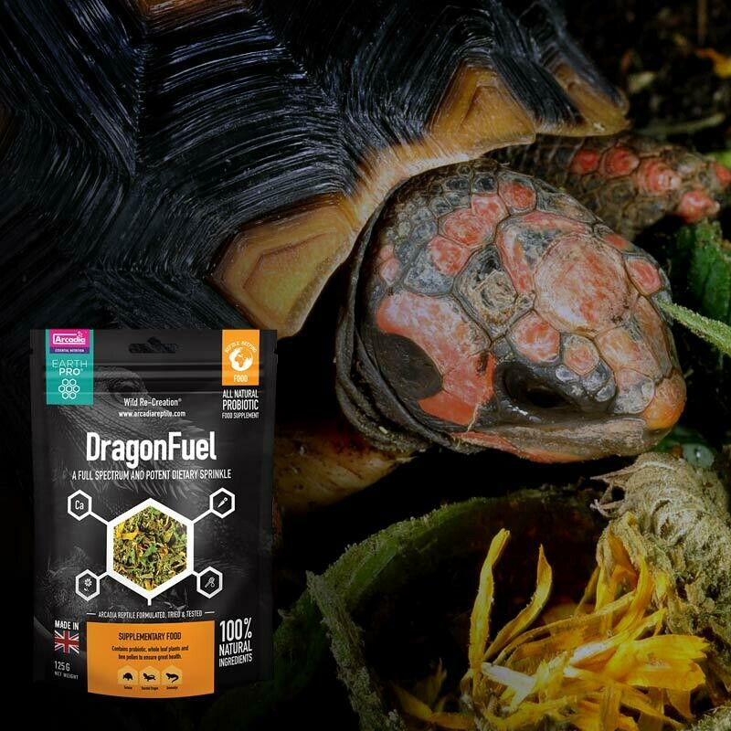 Arcadia Dragon Fuel - Bearded Dragon Supplement 125G