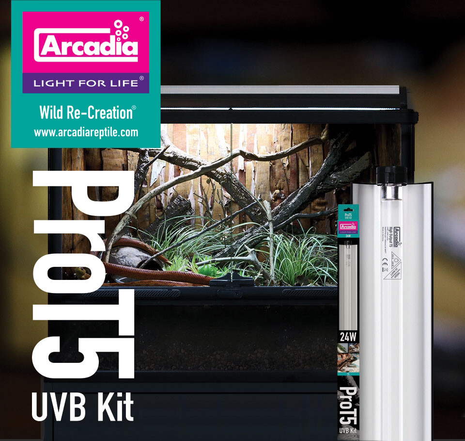 Arcadia ProT5 UVB Kit 24&quot;