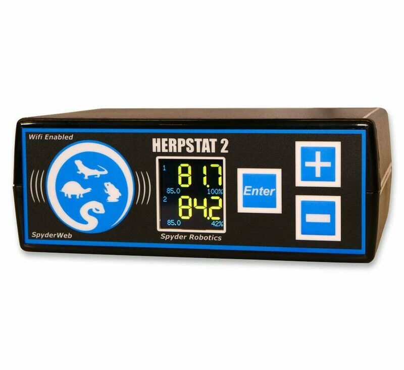 Herpstat 2 Spyderweb