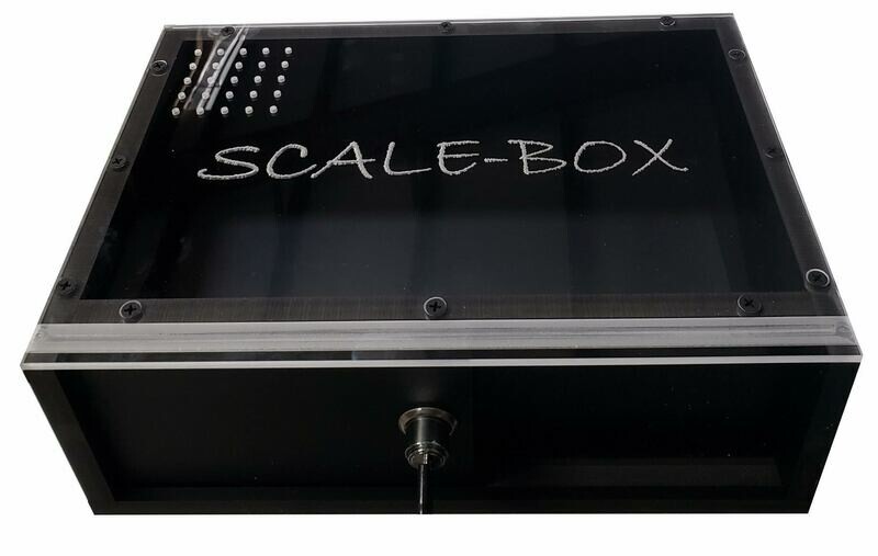 16&quot;x13&quot;x5.5&quot; LARGE TRAP/HIDE BOX