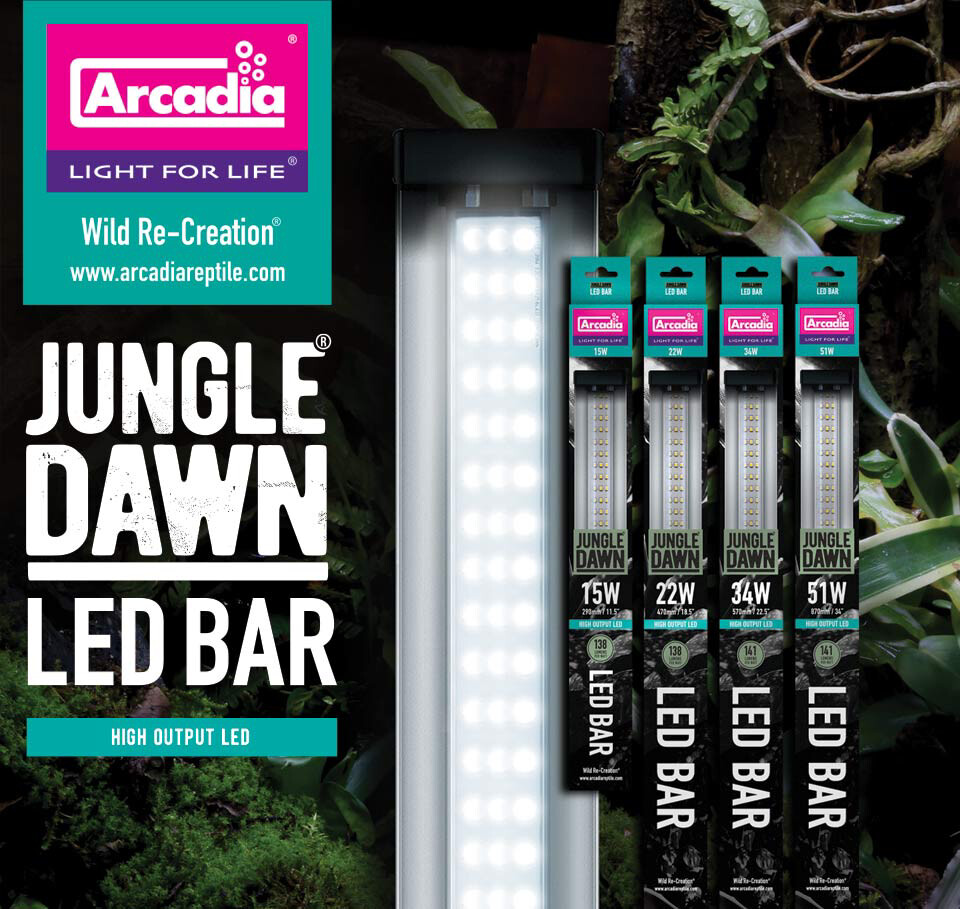 Jungle Dawn 34" 51 Watt
