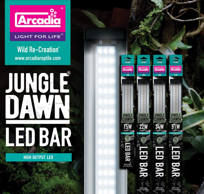 Jungle Dawn 12" 15 Watt
