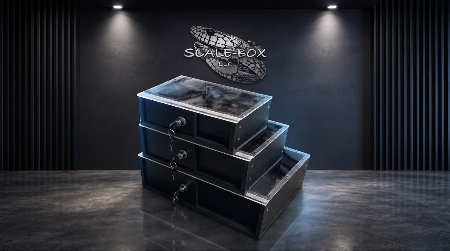 13"x9"x4.5" MEDIUM TRAP/HIDE BOX