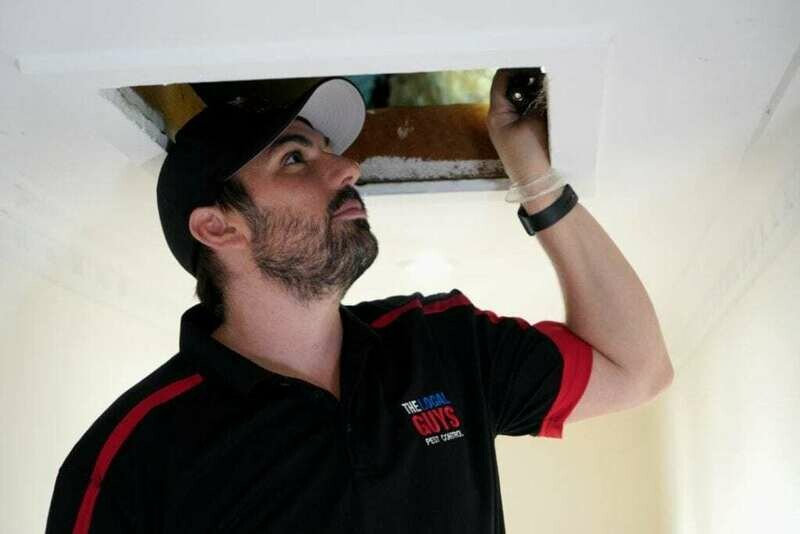 Male Uniform Polo Shirt