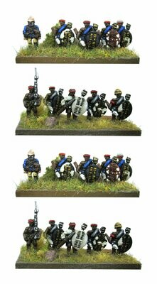 10mm Natal Native Contingent 10mm Natal Native Contingent