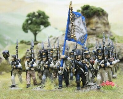 Westphalian Napoleonic Regiments