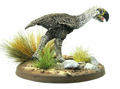 28mm Phorusrachus