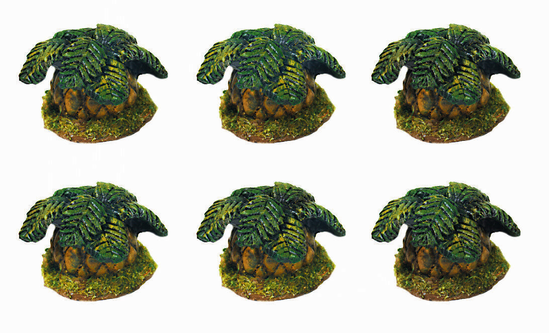 28mm Cycads x 6