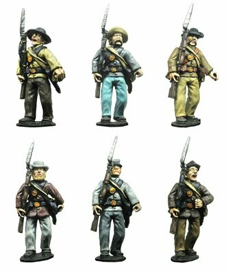 ACW - Confederates marching quick step/ shoulder arms